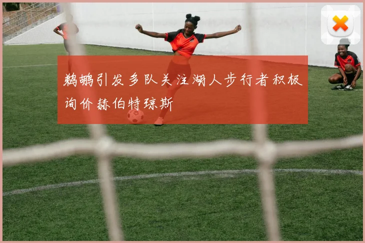 鹈鹕引发多队关注湖人步行者积极询价赫伯特琼斯
