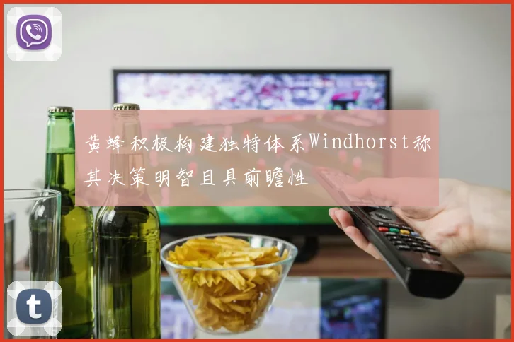 黄蜂积极构建独特体系Windhorst称其决策明智且具前瞻性